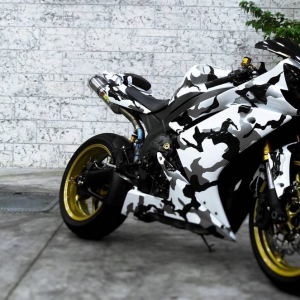 r1 camo