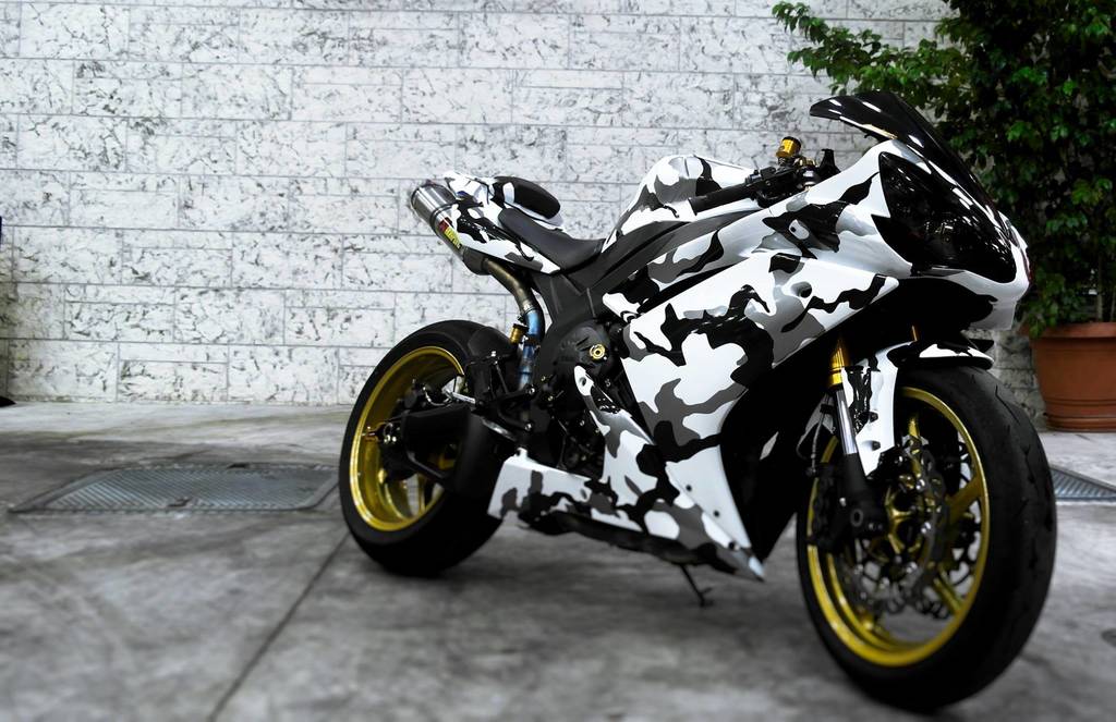 r1 camo